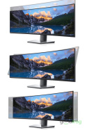 Zakrzywiony monitor Dell UltraSharp 49 U4919DW / 5120 x 1440 przy 60 Hz / Dual QHD / Outlet