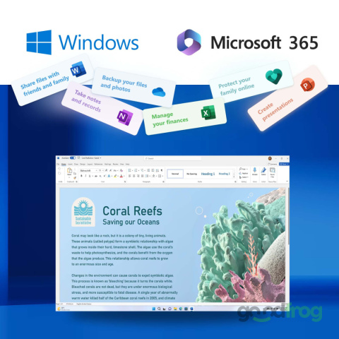 Dell Latitude 13 7300 / 13,3" / Full HD / i5 4CORE / 16GB / SSD M.2 256GB / W10