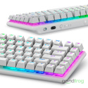 Klawiatura gamingowa Alienware PRO (bezprzewodowa) / Tri-Mode / AlienFX RGB / Lunar Light