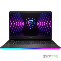 GAMING MSI RAIDER GE77HX 12UHS / 17,3